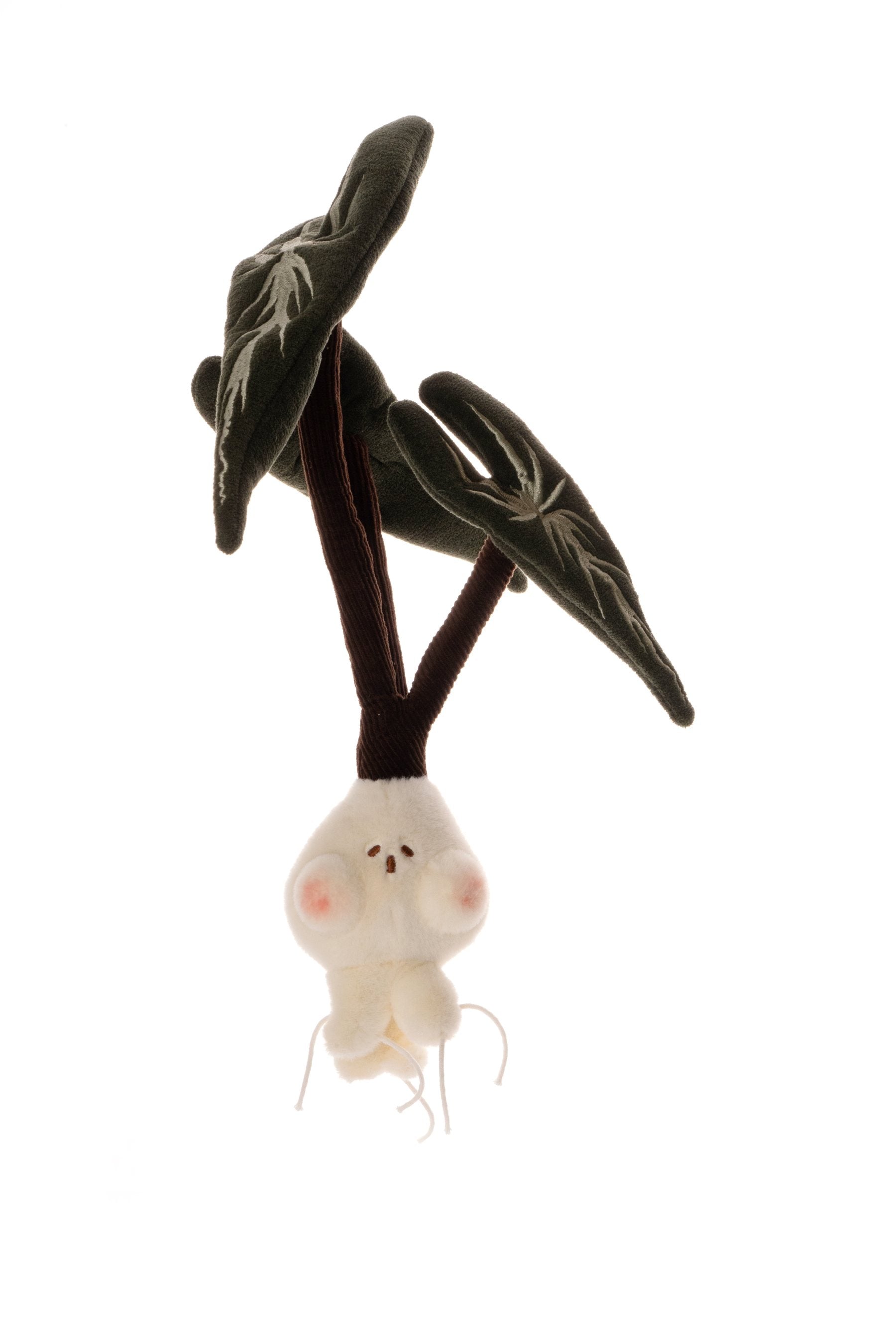 Black velvet alocasia plush character detail
