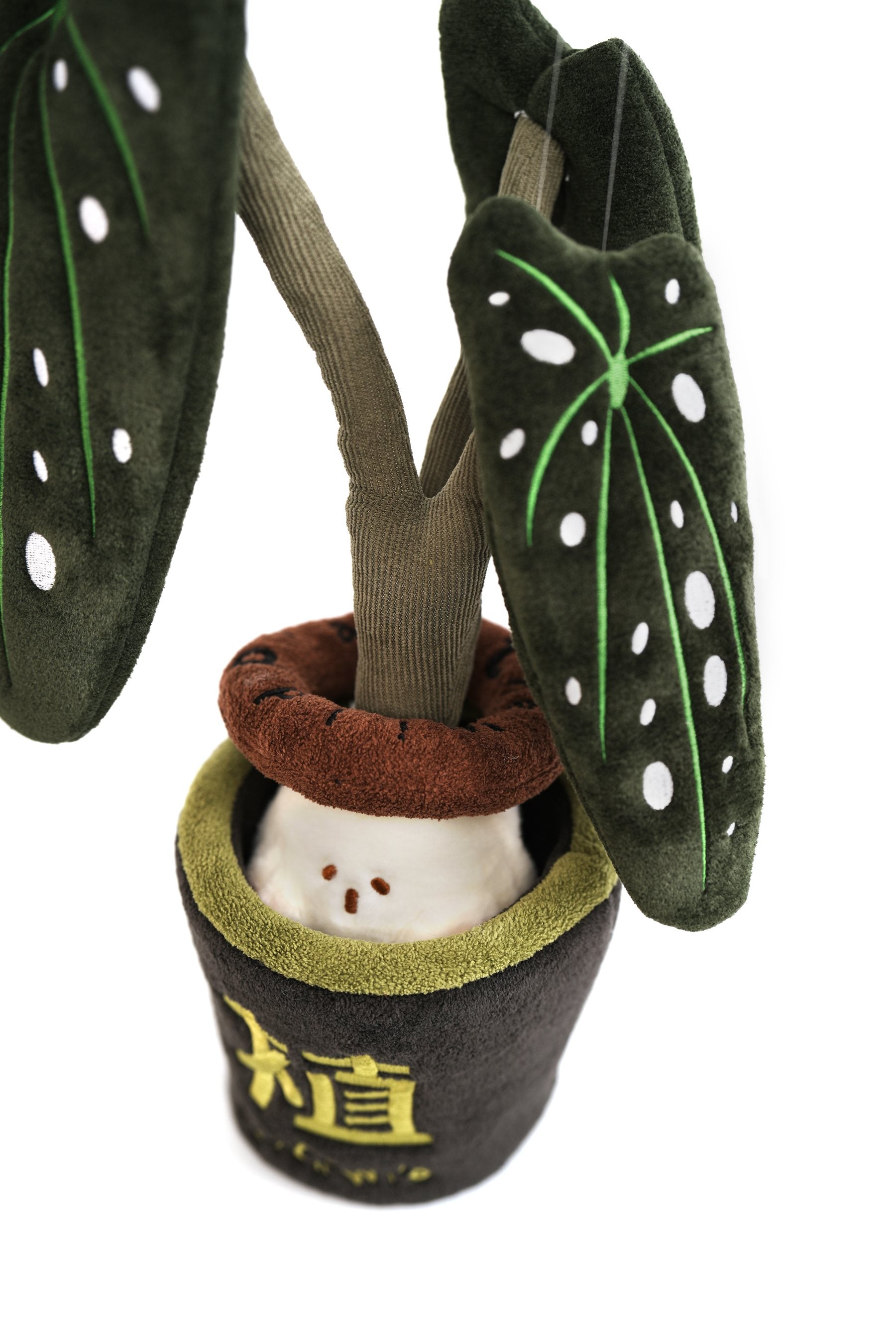 Spotted begonia plush plant in soft embroidered pot